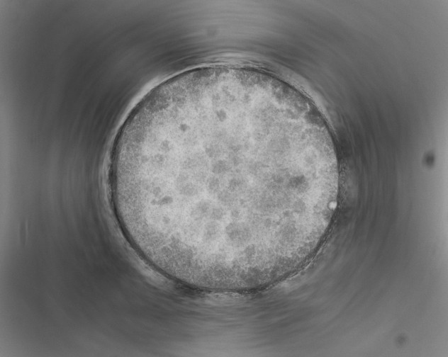 X0000116461091201001201255