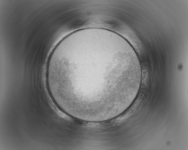 X0000116461094201001201255