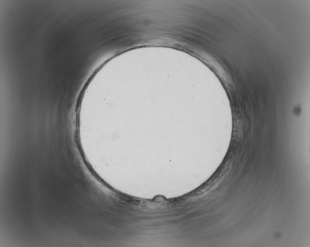 X0000116461095201001201255
