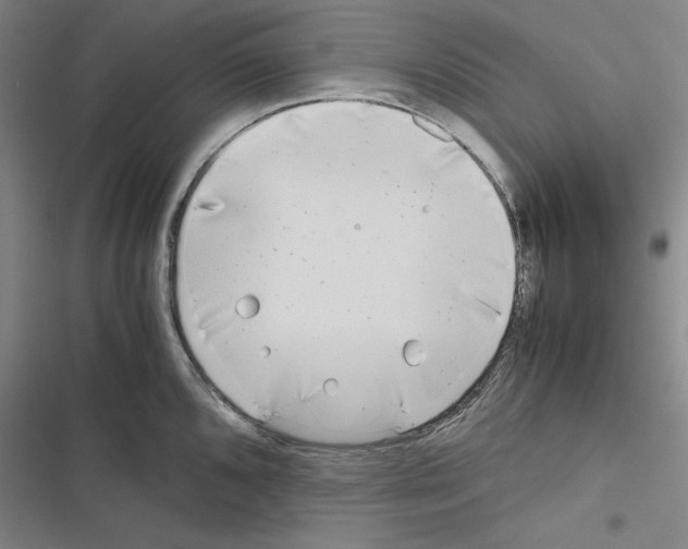 X0000116461096201001201255