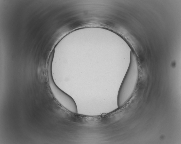 X0000116461097201001201255