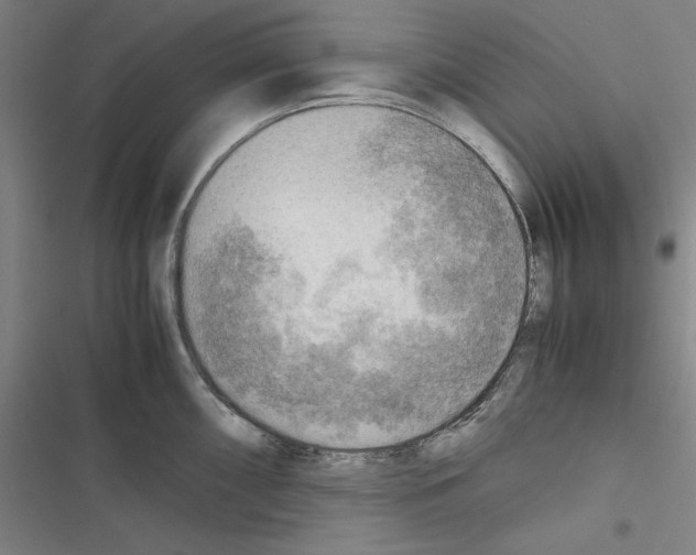 X0000116461098201001201255