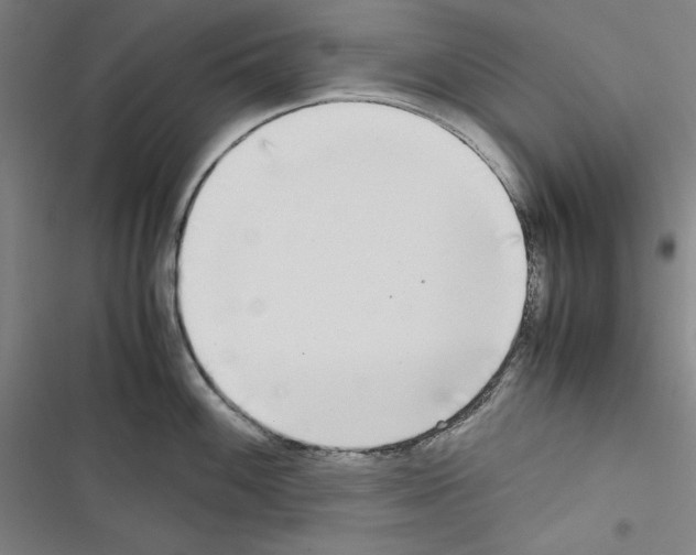 X0000116461100201001201255
