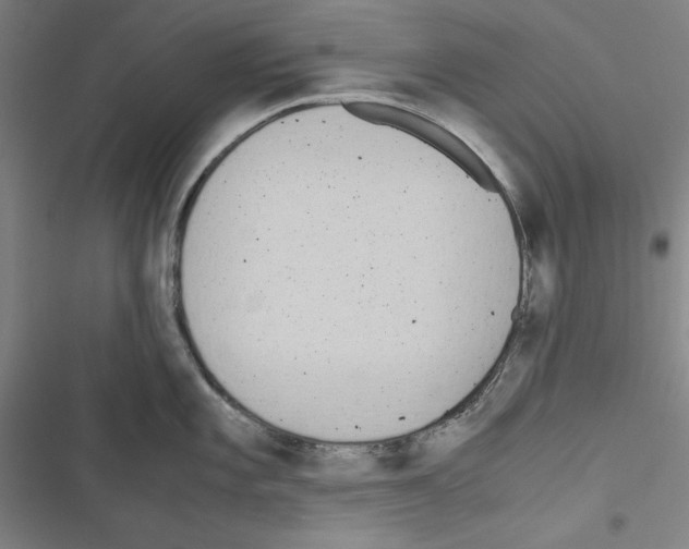 X0000116461101201001201255