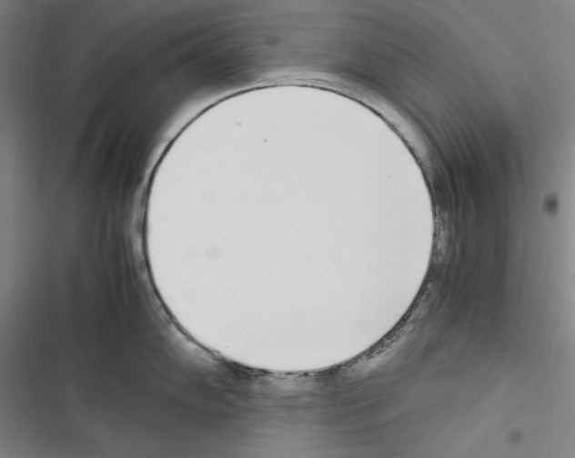 X0000116461102201001201255
