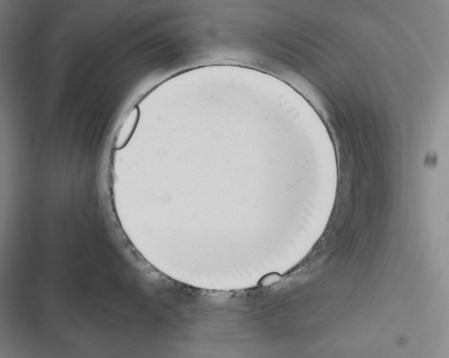 X0000116461104201001201255