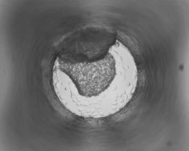 X0000116461105201001201254