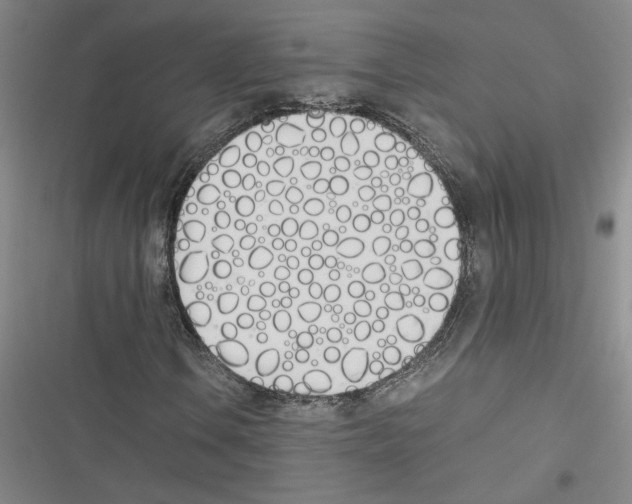 X0000116461106201001201254
