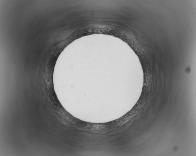 X0000116461109201001201254