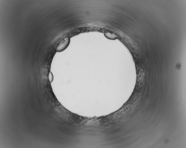 X0000116461110201001201254