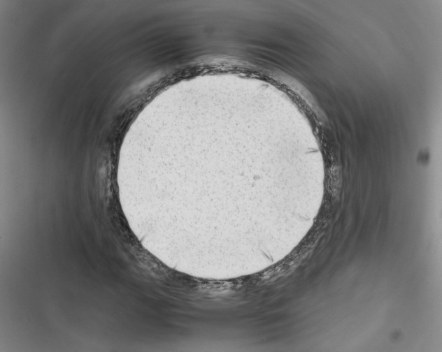 X0000116461111201001201254