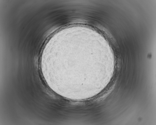 X0000116461113201001201254