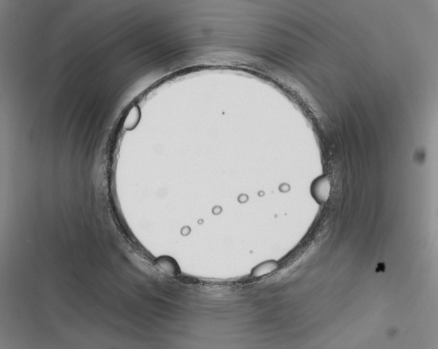 X0000116461114201001201254