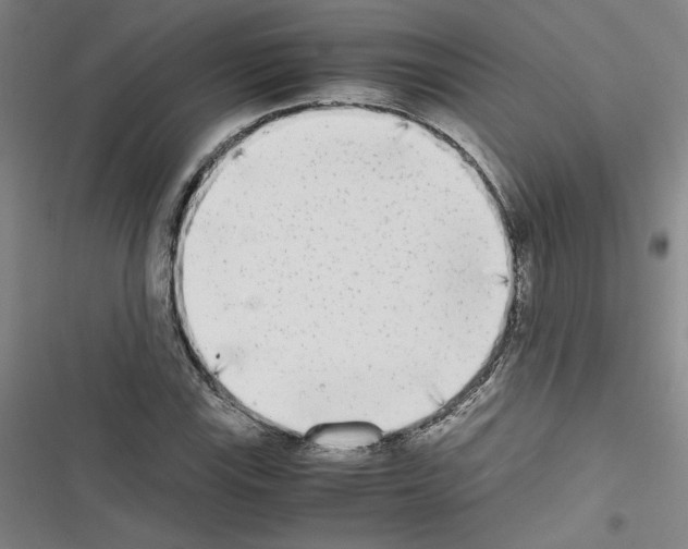 X0000116461115201001201254