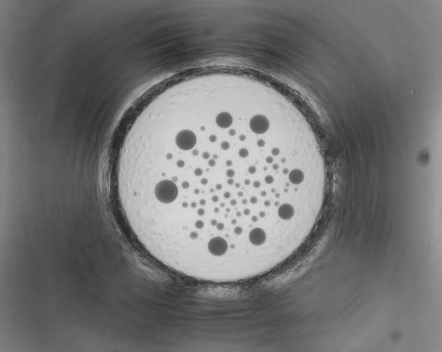 X0000116461117201001201254