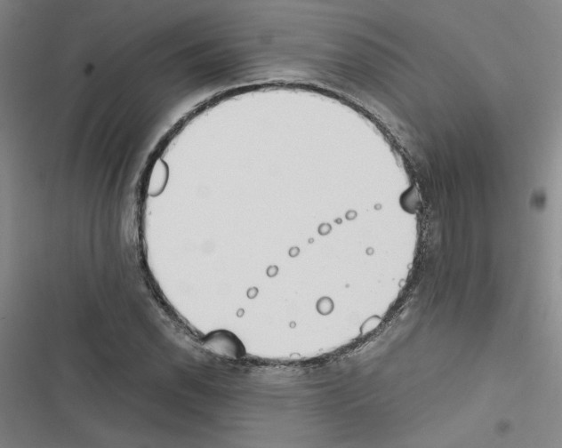 X0000116461118201001201254