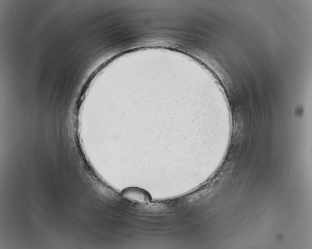 X0000116461119201001201254
