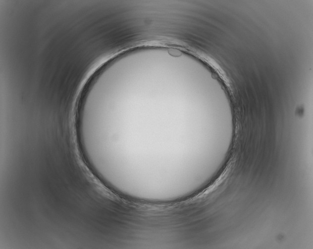 X0000116461122201001201254