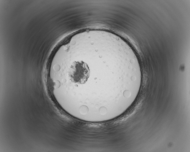 X0000116461125201001201254