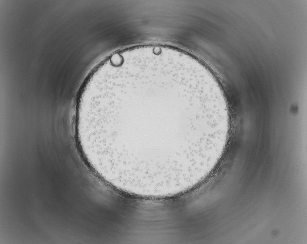 X0000116461126201001201254