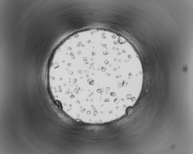 X0000116461127201001201254