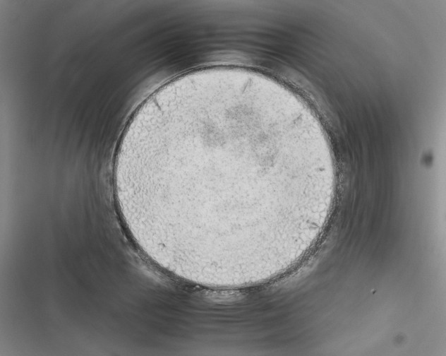 X0000116461129201001201254