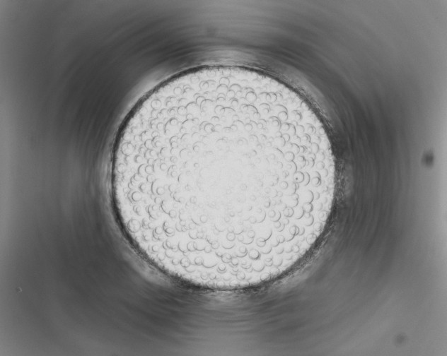 X0000116461130201001201254