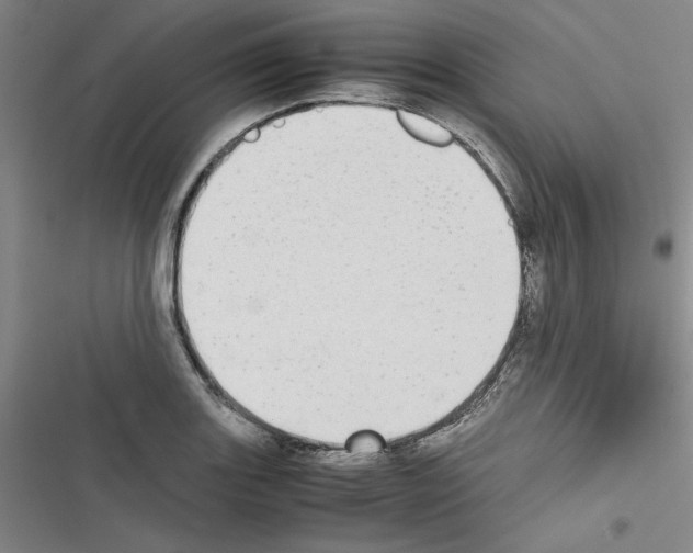 X0000116461131201001201254