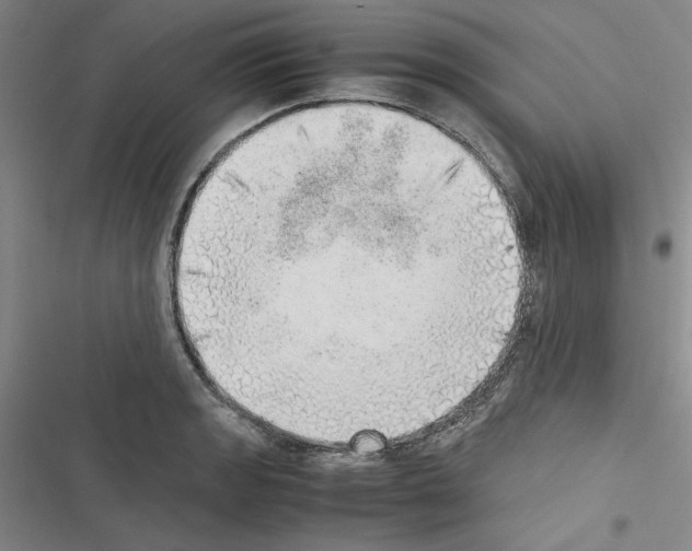 X0000116461133201001201255