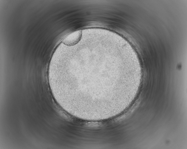 X0000116461137201001201255