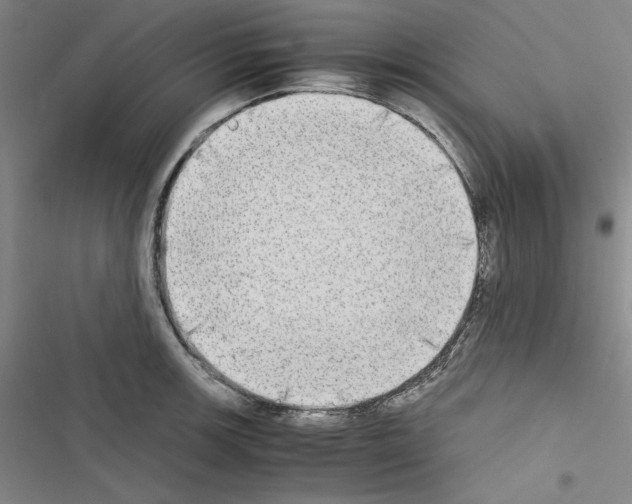 X0000116461139201001201255