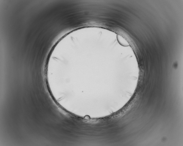X0000116461141201001201255