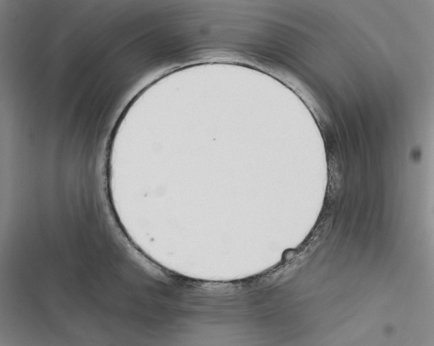 X0000116461142201001201255