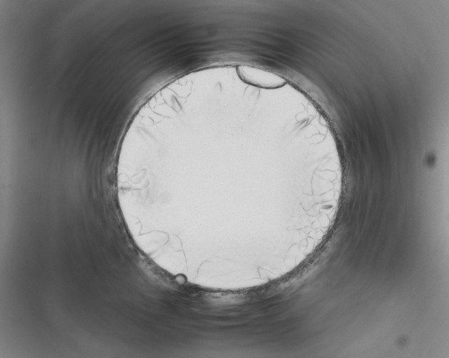 X0000116461145201001201255