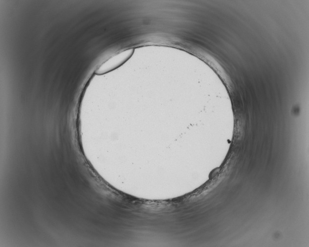 X0000116461146201001201255
