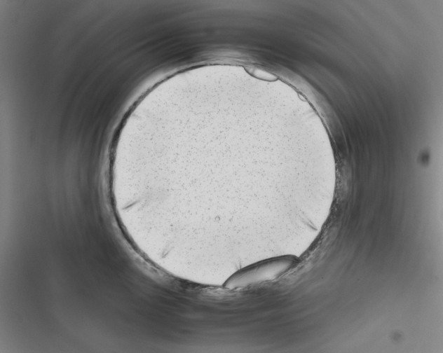 X0000116461147201001201255