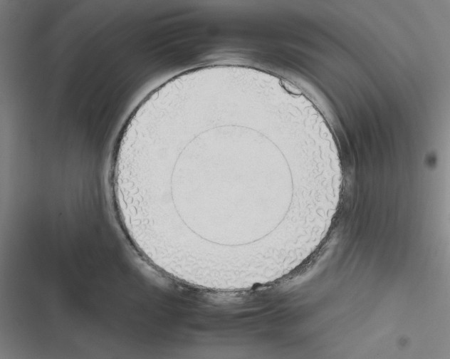 X0000116461149201001201255