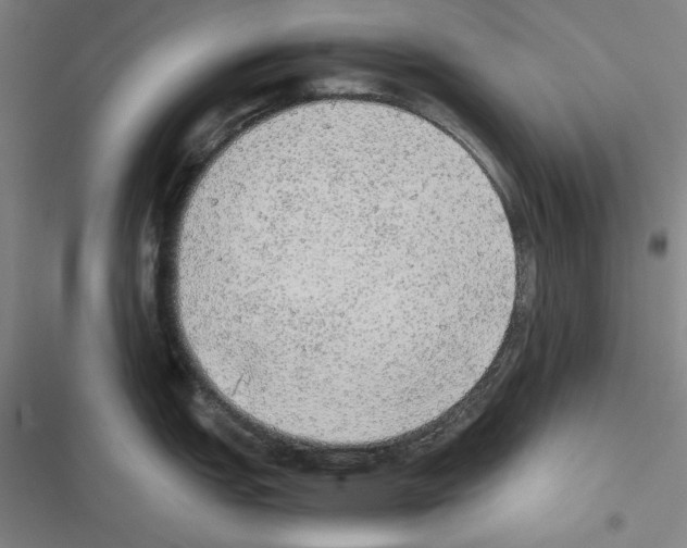 X0000116461151201001201255