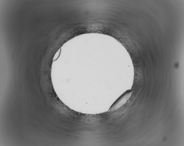 X0000116461153201001201254