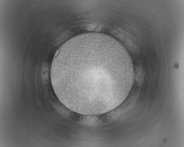 X0000116461154201001201254