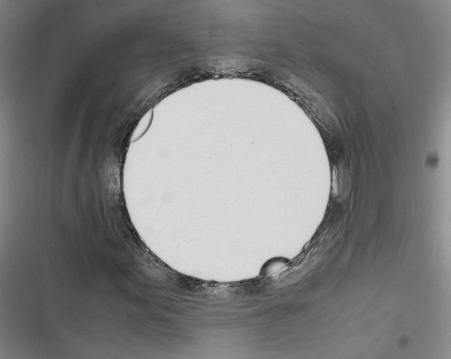 X0000116461155201001201254