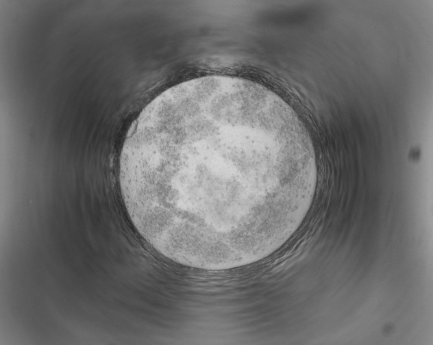 X0000116461156201001201254