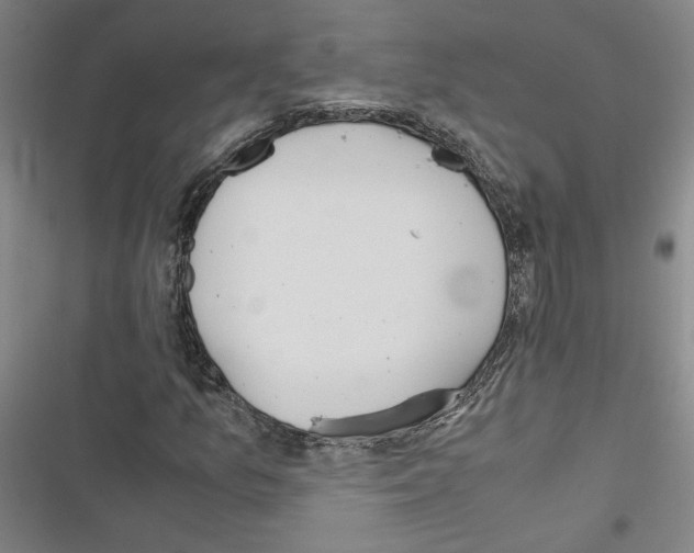 X0000116461157201001201254