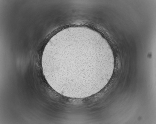 X0000116461158201001201254