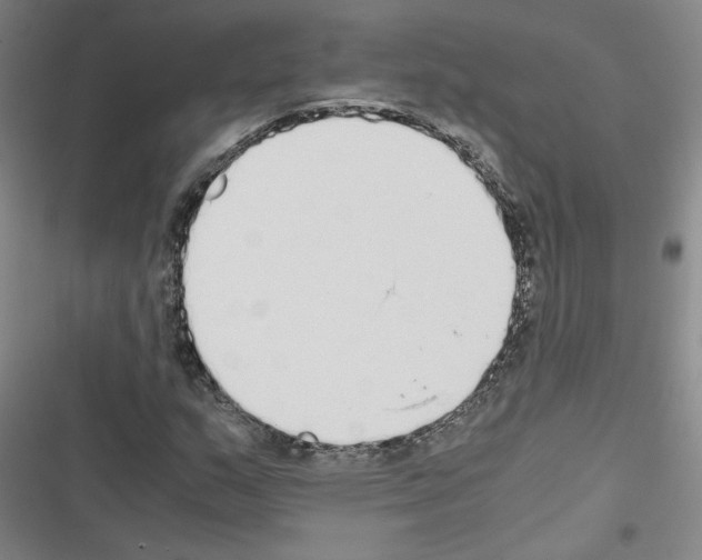 X0000116461159201001201254