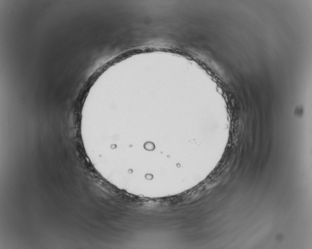 X0000116461160201001201254