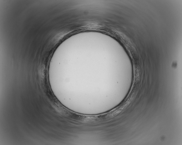 X0000116461161201001201254