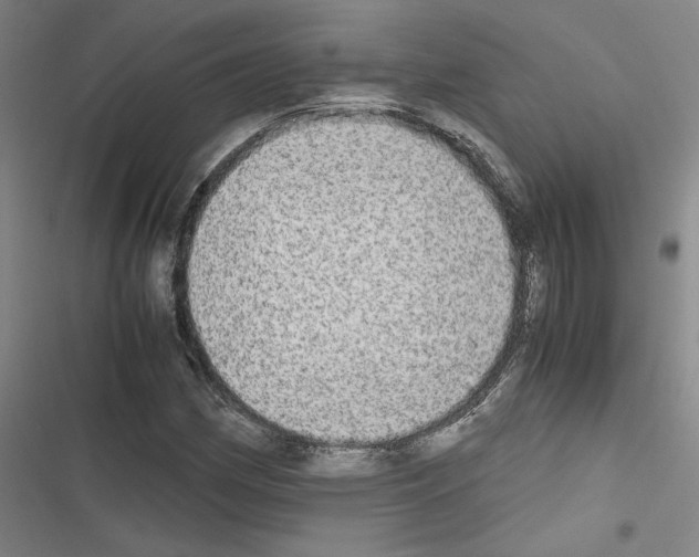 X0000116461162201001201254