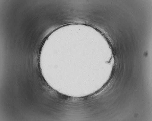 X0000116461163201001201254