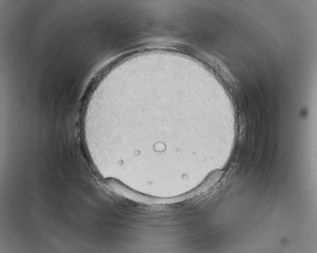 X0000116461164201001201254
